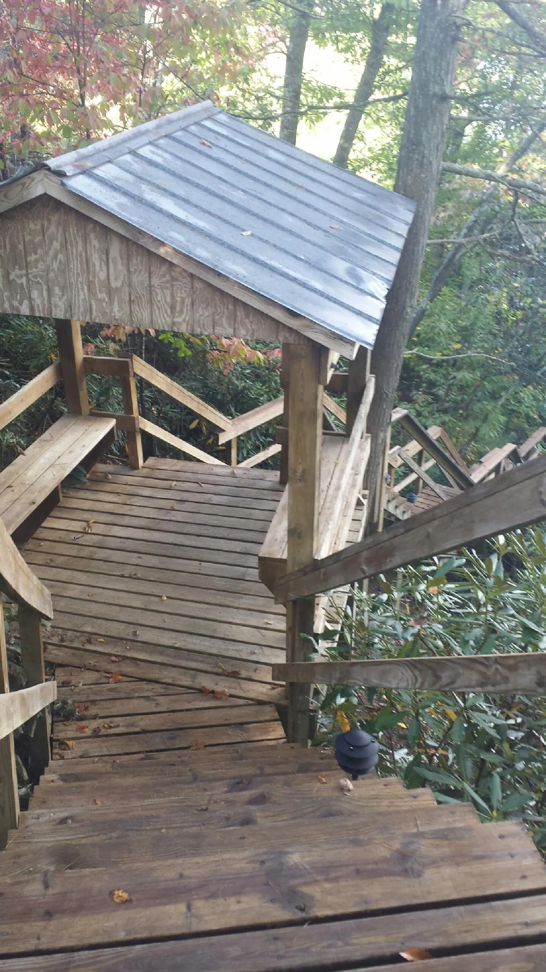 Metal roofed shelter over wooden steps on a wooded walkway — Skylight Repair & Installation work by our crew in Poplarville